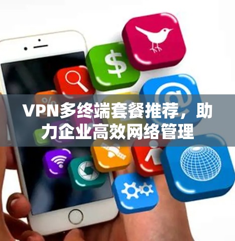 VPN多终端套餐推荐，助力企业高效网络管理