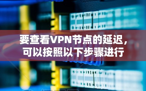 要查看VPN节点的延迟，可以按照以下步骤进行