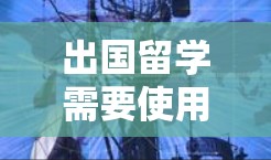 出国留学需要使用多种网络工具来处理签证、居留许可、转账、租房、交通、学习、健康、生活等各个方面。以下是一个清晰的分步指南，帮助您顺利准备和使用这些工具
