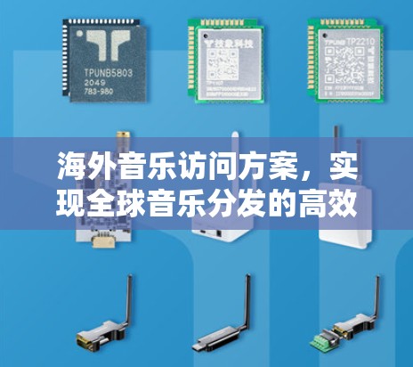 海外音乐访问方案，实现全球音乐分发的高效与安全