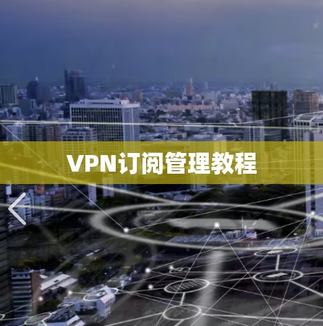 VPN订阅管理教程